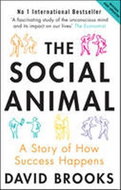 The Social Animal : A Story of How Success Happens - Kniha