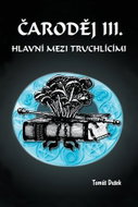 Čaroděj III. - Hlavní mezi truchlícími - Kniha