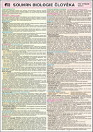 SOUHRN BIOLOGIE ČLOVĚKA pro SŠ A4 - Kniha