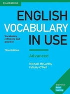 English Vocabulary in Use: Advanced Book with Answers - Kniha