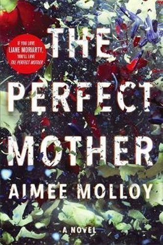 Perfect Mother - Kniha - Main image
