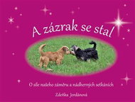 A zázrak se stal - Kniha