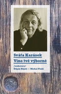 Víno tvé výborné /rozhovory Štěpán Hájek a Michal Plzák/ - Kniha