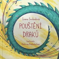 Pouštění draků - Kniha