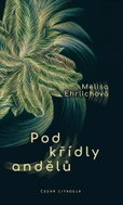 Pod křídly andělů - Kniha