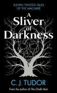 A Sliver of Darkness - Kniha