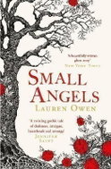 Small Angels: ´A twisting gothic tale of darkness, intrigue, heartbreak and revenge´ Jennifer Saint - Kniha