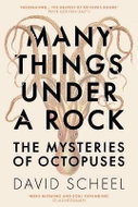 Many Things Under a Rock: The Mysteries of Octopuses - Kniha