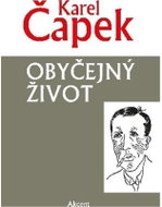 Obyčejný život - Kniha