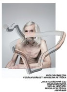 Myšlení obrazem: Vizuální události Miroslava Petříčka. - Kniha