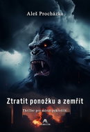 Ztratit ponožku a zemřít - Kniha