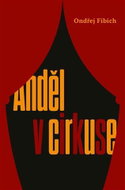 Anděl v cirkuse - Kniha