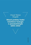 Různé podoby české trinitární teologie a pneumatologie 1800–2010 - Kniha