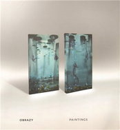 Obrazy paintings - Martin Salajka - Kniha