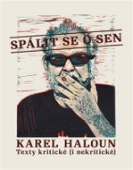 Spálit se o sen - Texty kritické (i nekritické) - Kniha