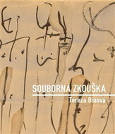 Souborná zkouška - Kniha