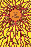 Díra po blesku - Kniha