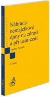 Náhrada nemajetkové újmy na zdraví a při usmrcení - Kniha