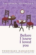 Before I Knew I Loved You - Kniha