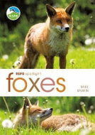 RSPB Spotlight: Foxes - Kniha