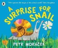Surprise for Snail - Kniha