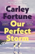 Our Perfect Storm - Kniha