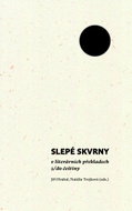 Slepé skvrny v literárních překladech z/do češtiny - Kniha