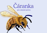 Český jazyk - Čáranka pro vázané písmo - Kniha