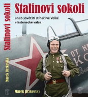 Stalinovi sokoli aneb sovětští stíhači ve Velké vlastenecké válce - Kniha