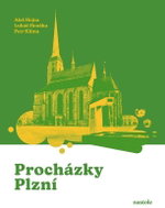 Procházky Plzní - Krok za krokem ulicemi města - Kniha