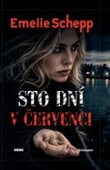 Sto dní v červenci - Kniha