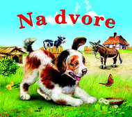 Na dvore - Kniha