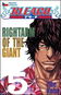 Bleach 5 - Kniha