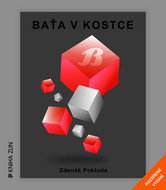 Baťa v kostce: Rozšířené vydání - Kniha