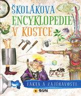 Školákova encyklopedie v kostce - Kniha