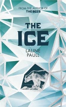 The Ice - Kniha - Main image
