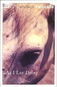Kniha As I Lay Dying - Kniha