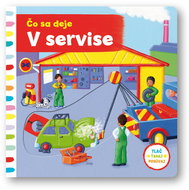 Čo sa deje – V servise - Kniha