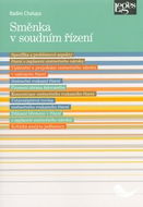 Kniha Směnka v soudním řízení - Kniha
