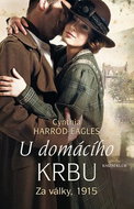 U domácího krbu - Kniha