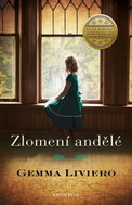 Zlomení andělé - Kniha