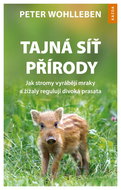 Tajná síť přírody: Jak stromy vyrábějí mraky a žížaly regulují divoká prasata - Kniha