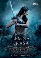 Temná krása - Kniha