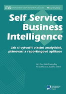 Self Service Business Inteligence - Kniha