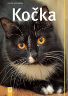 Kočka - Kniha