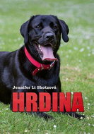 Hrdina - Kniha