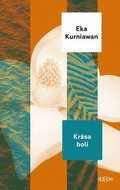Krása bolí - Kniha