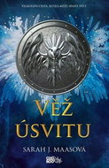 Věž úsvitu: Velkolepá cesta, která může spasit svět - Kniha