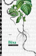 Běsa - Kniha