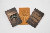 Harry Potter: Diagon Alley Pocket Notebook Collection (Set of 3) - Kniha